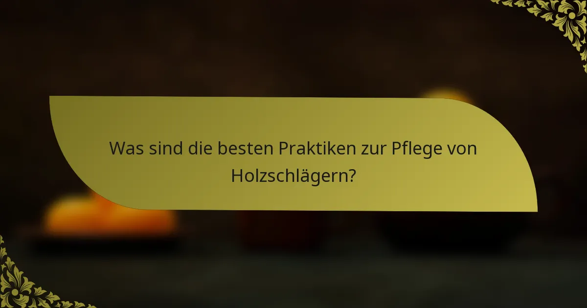 Was sind die besten Praktiken zur Pflege von Holzschlägern?