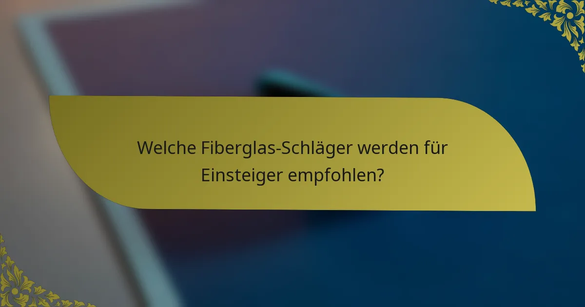 Welche Fiberglas-Schläger werden für Einsteiger empfohlen?