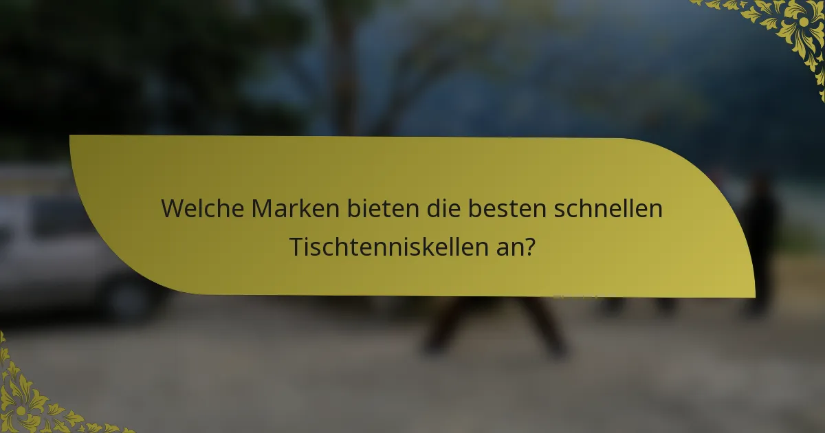 Welche Marken bieten die besten schnellen Tischtenniskellen an?