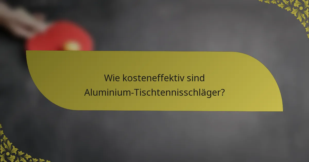 Wie kosteneffektiv sind Aluminium-Tischtennisschläger?